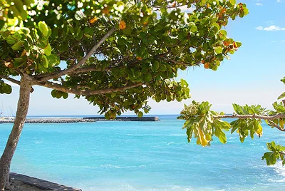 #11 Réunion
