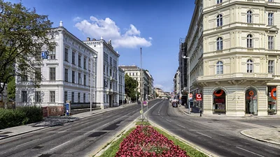 Viena