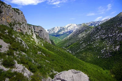 Dalmacia