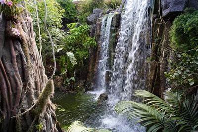 Espace Jungle de l'Aquarium de Palma