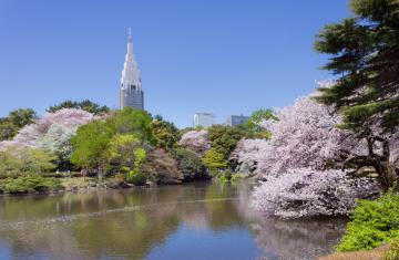 Parc Shinjuku Gyoen à Tokyo