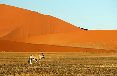 Parc national de Namib Naukluft
