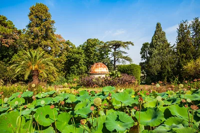 Jardin des Plantes de Montpellier