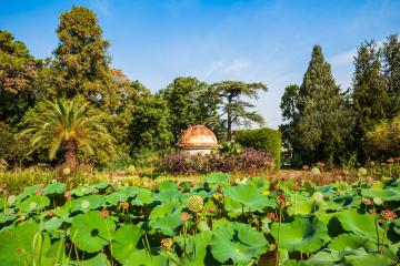 Jardin des Plantes de Montpellier