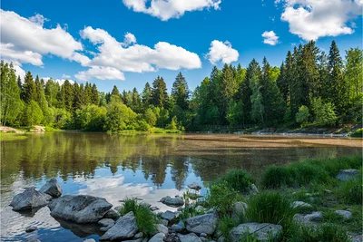 Lac de Finlande