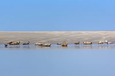 Baie de Somme