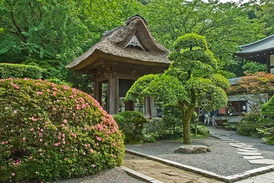 Temple Hokoku-ji