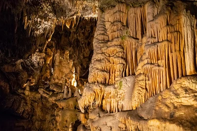 Grotte de Postojna