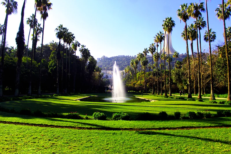 Les immanquables Algériens