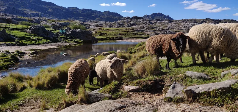 Sierras de Cordoba — Sierras de Cordoba (Argentine)