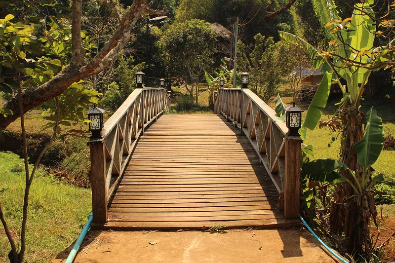 Sen monorom (Cambodge)