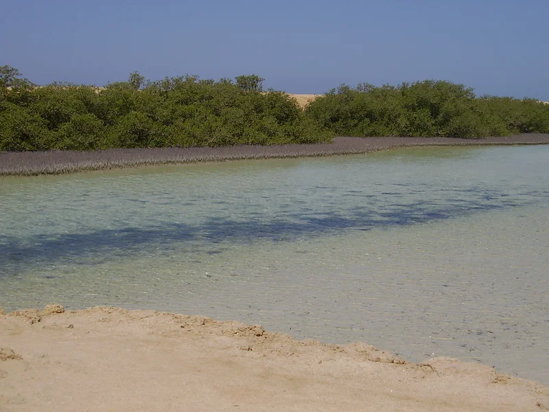 Parc Ras Mohammed dans le Sinaï — Parc national Ras Mohammed (Egypte)