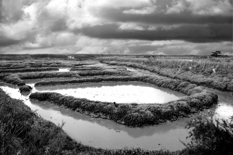 Les Salines, ile de Ré