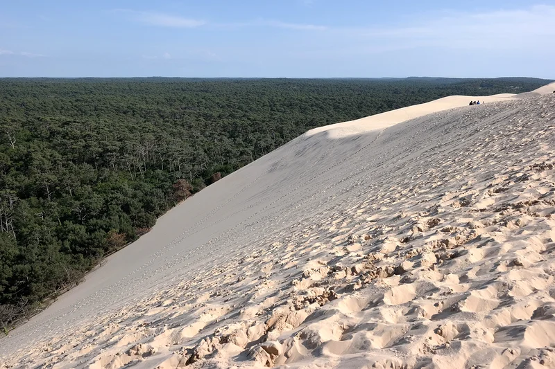 Dune du Pilat — Dune du Pilat (France)