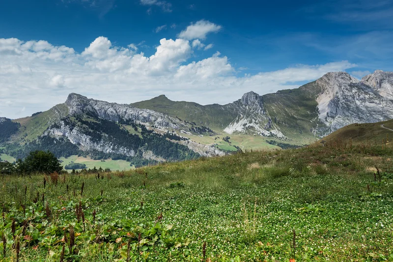 Le Grand Bornand en été — Station du Grand Bornand (France)