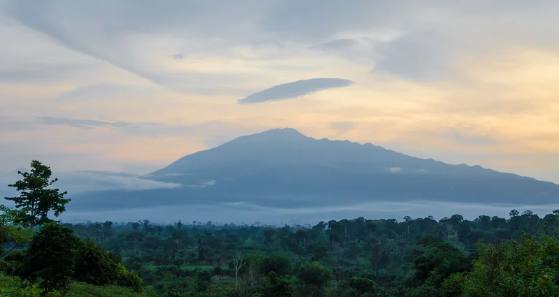 Mont Cameroun