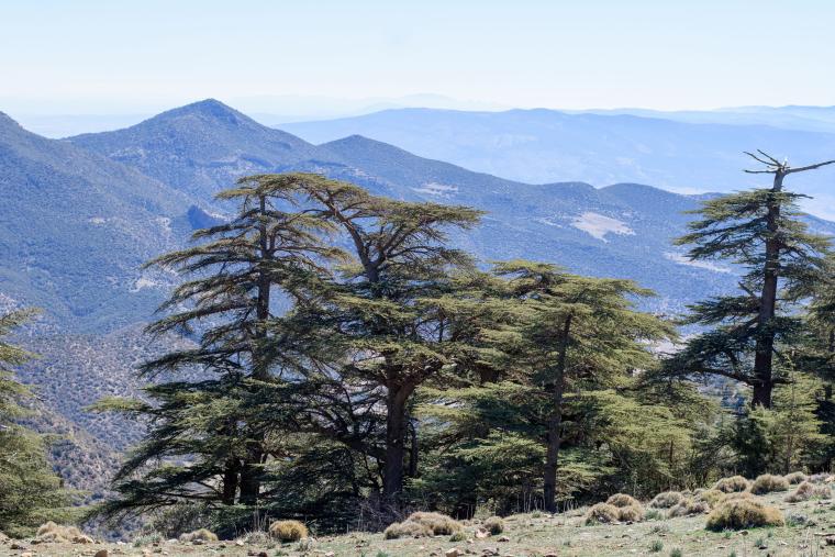 #7 Parc national de Belezma