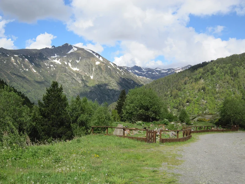 Ordino