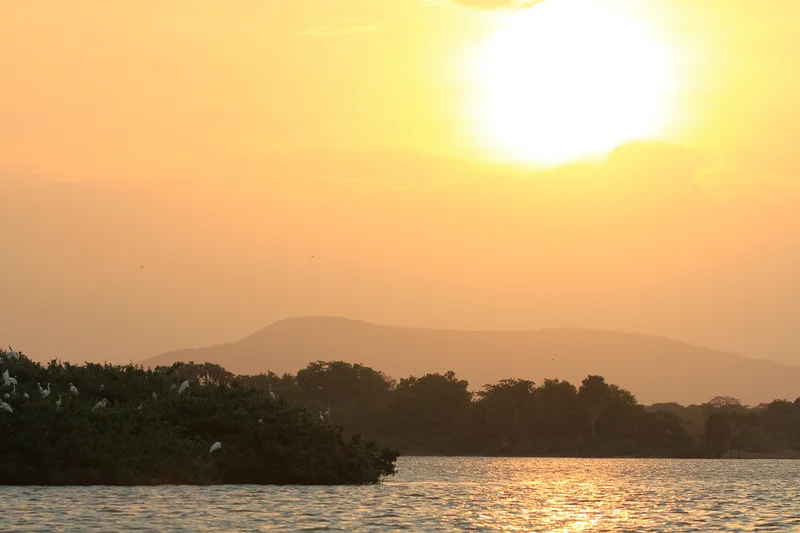 Réserve de Selous — Réserve de Sélous (Tanzanie)