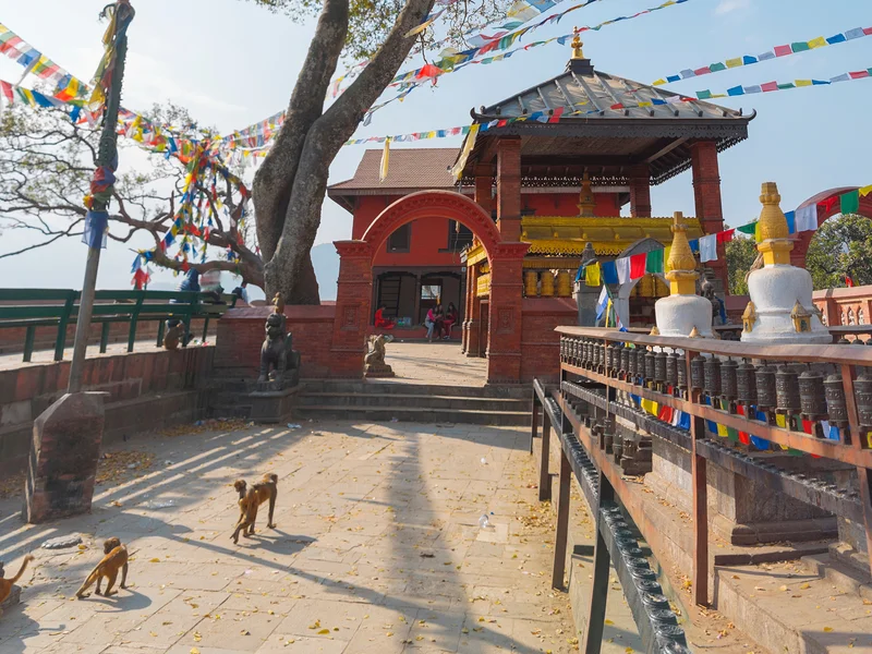 Swayambhunath à Kathmandou — Swayambhunath (Temple du singe) (Népal)