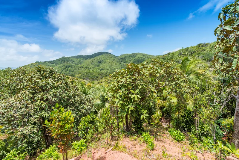 Réserve Naturelle de la Vallée de Mai
