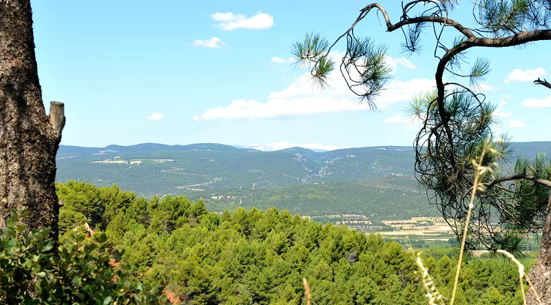 Parc naturel régional du Luberon