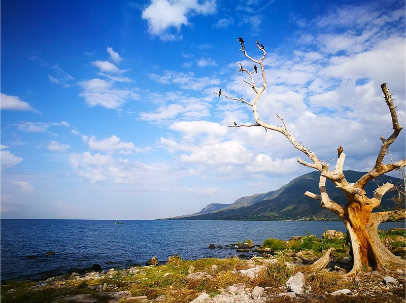 Lac Victoria (Tanzanie)