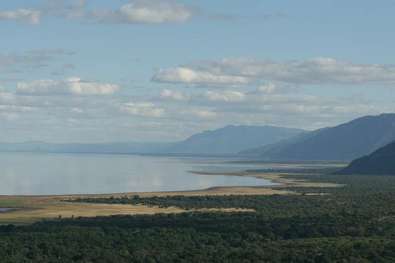 Lac Manyara — Parc national du lac Manyara (Tanzanie)