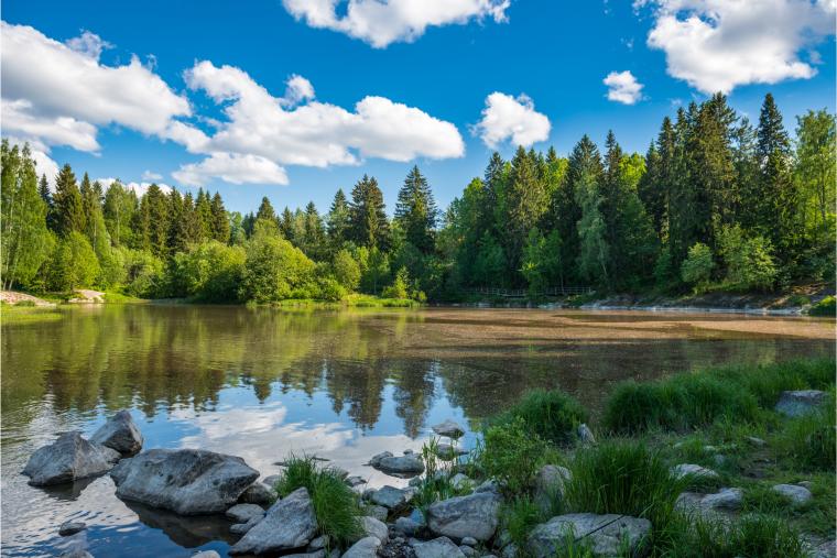 Lac de Finlande