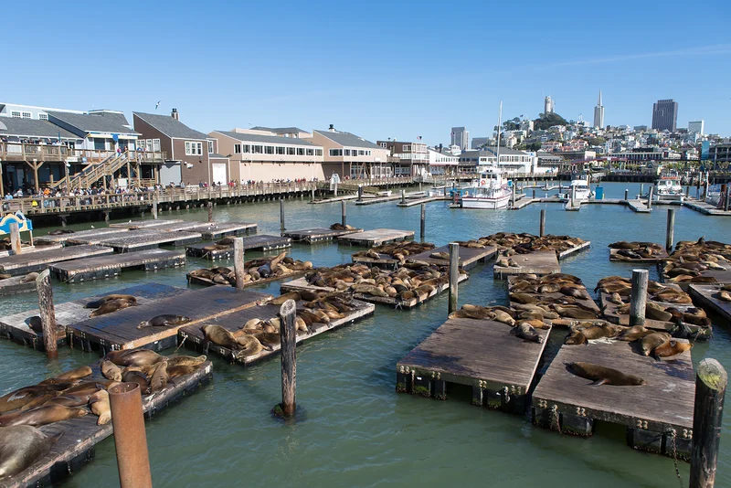 Pier 39 de San Francisco