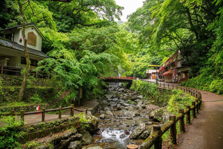 Parc quasi national de Meiji no Mori