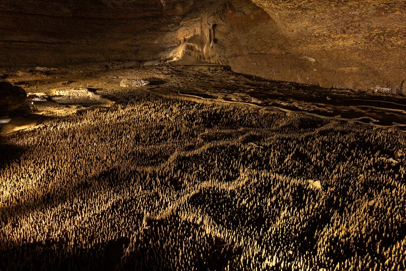 Grottes de Trabuc