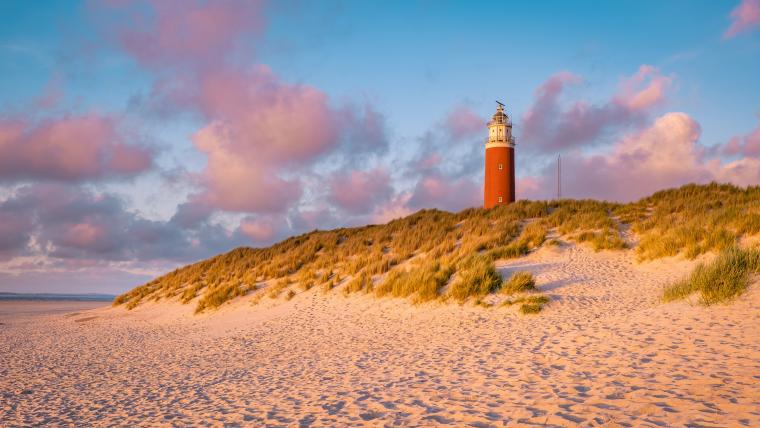 Texel