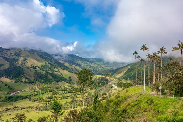 Vallée de Cocora