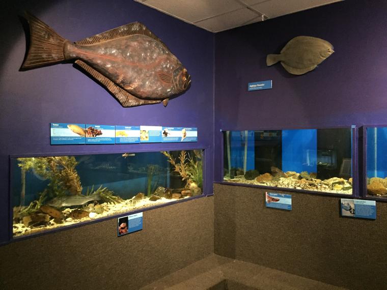 Cape Cod Museum of Natural History