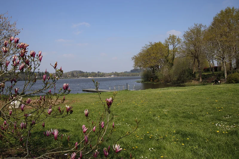 Etang au duc coté Ploërmel — Ploërmel (France)