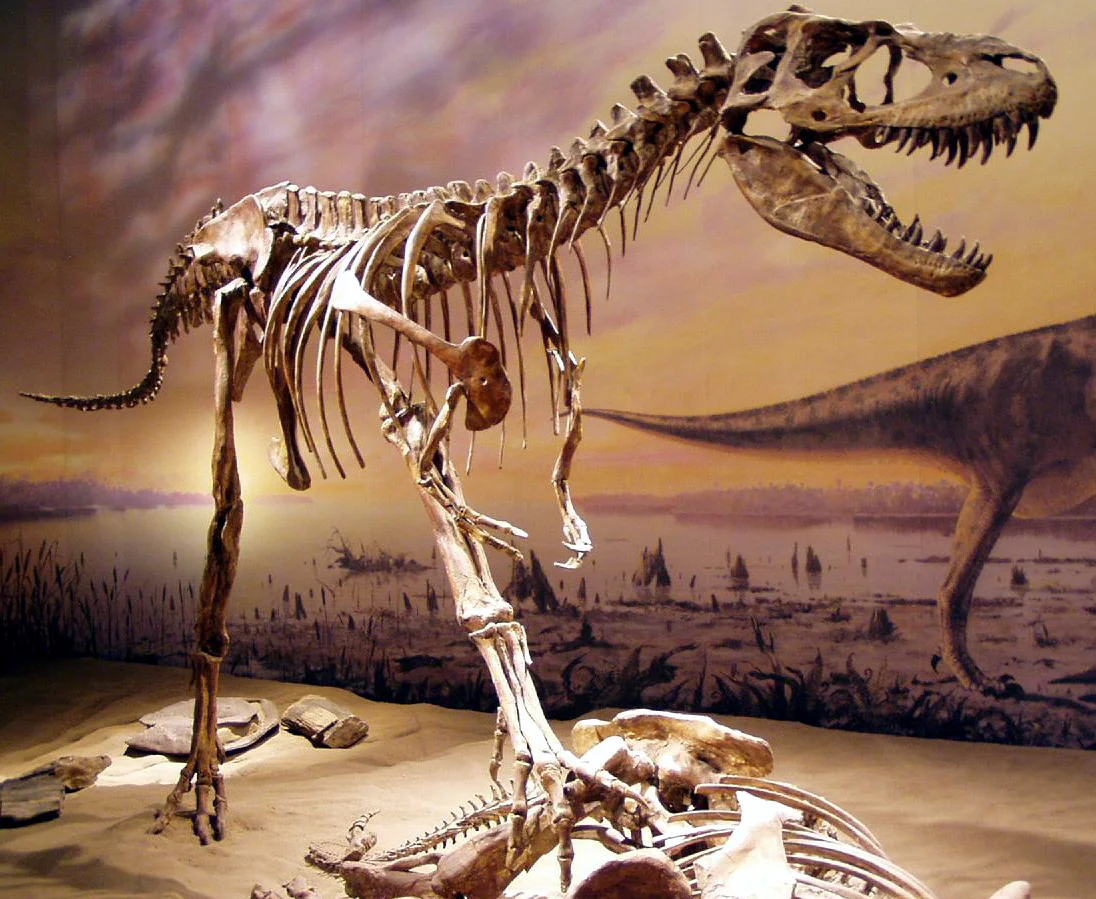 Musee Royal Tyrrel à Drumheller — Musée Royal Tyrrell (Canada)