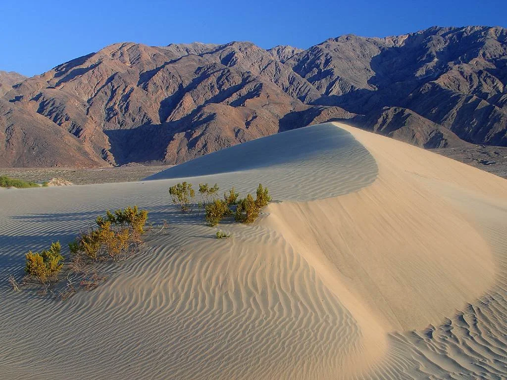 Vallée de la mort Vallée de la mort — Parc national de la vallée de la Mort (Etats-Unis)