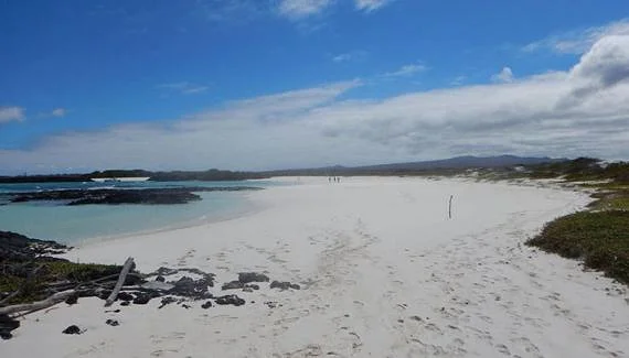 Bahia Rosa Blanca aux Galapagos Bahia Rosa Blanca aux Galapagos — Bahia Rosa Blanca (Équateur)