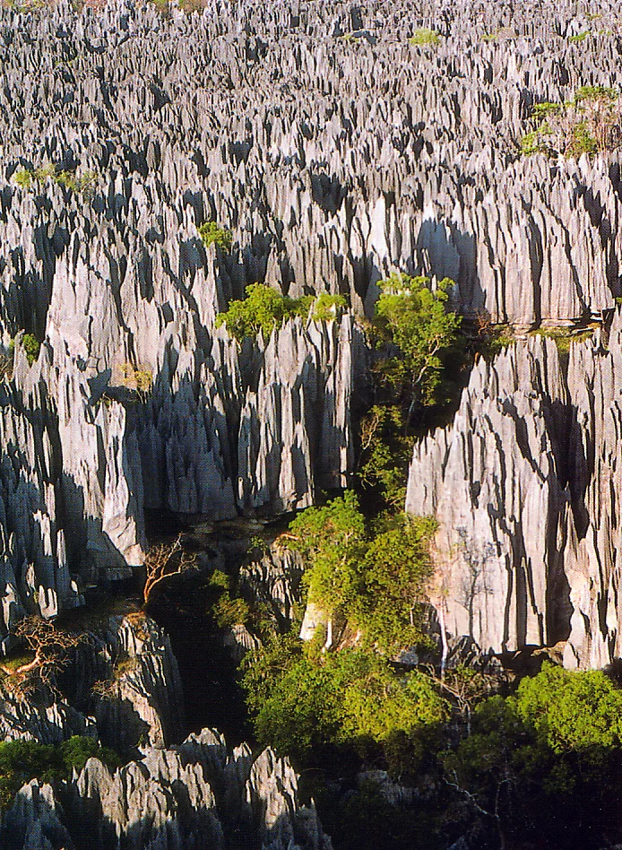 Parc Tsingy de Bemaraha — Réserve naturelle intégrale du Tsingy de Bemaraha (Madagascar)