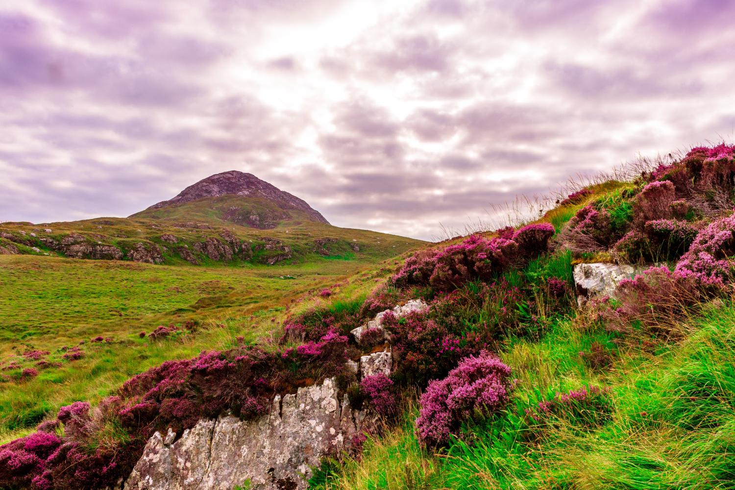 Que faire en Irlande du Sud Top 10 des incontournables à visiter