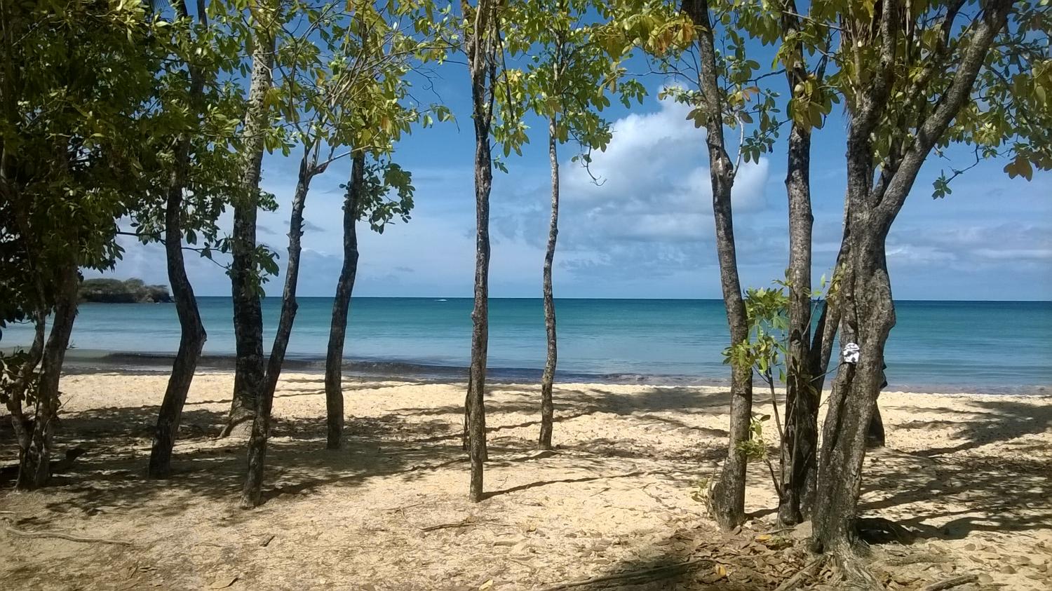 Grande Anse des Salines