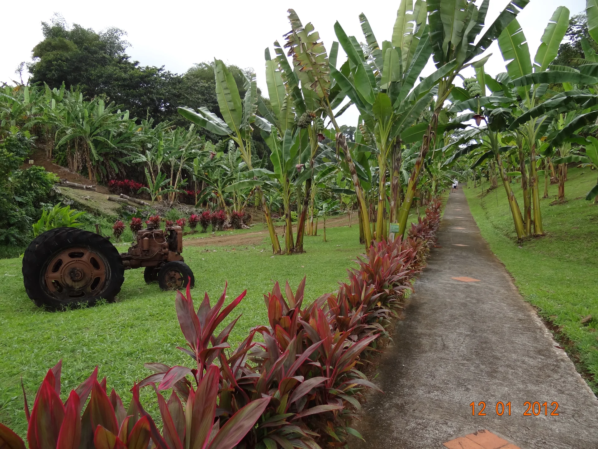 Musée de la Banane à Sainte Marie