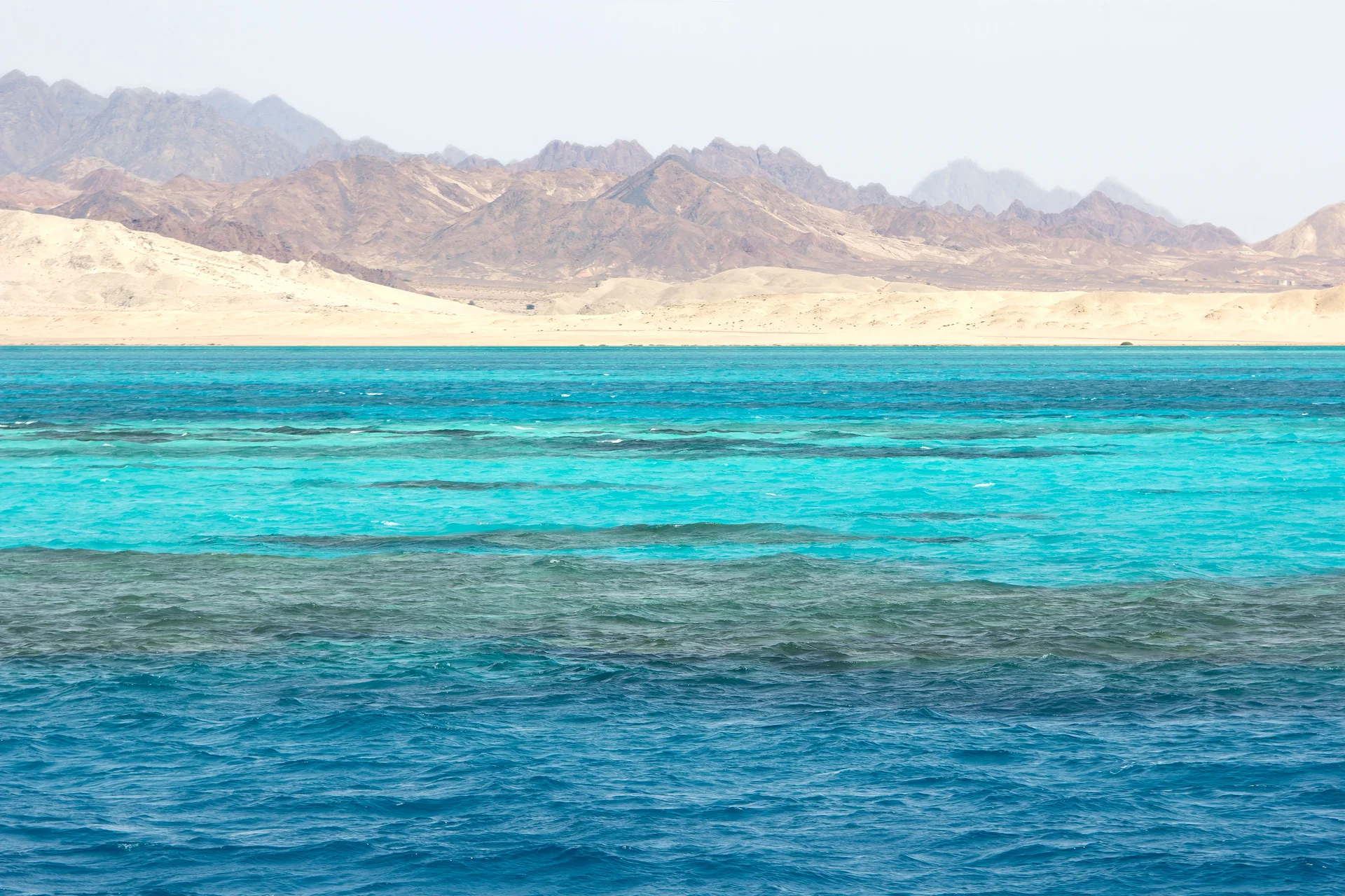 Parc National Ras Mohamed — Parc national Ras Mohammed (Egypte)