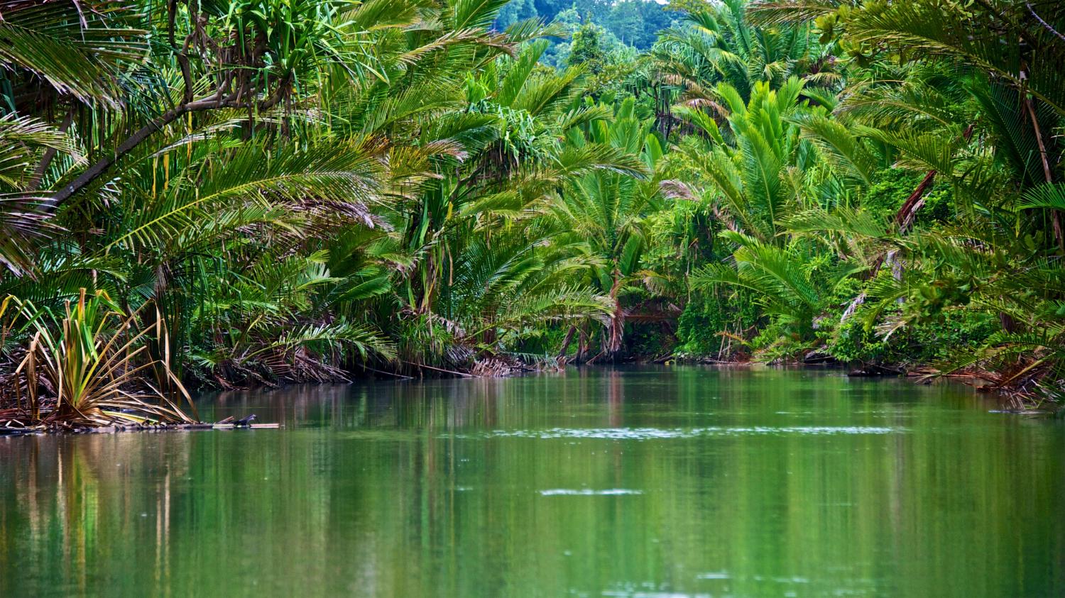 Parc National Manusela