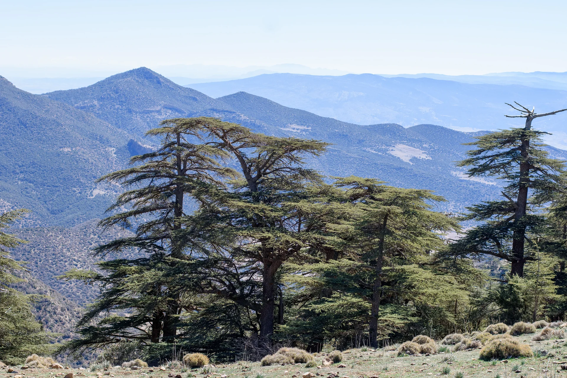 Parc National de Belezna