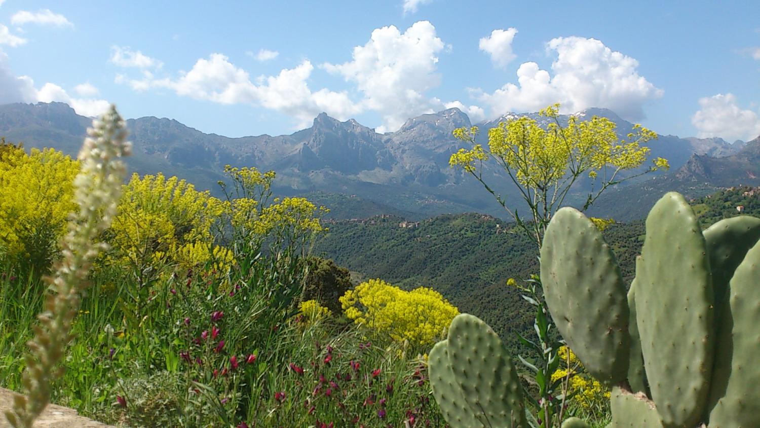 Parc National du Djurdjura au printemps