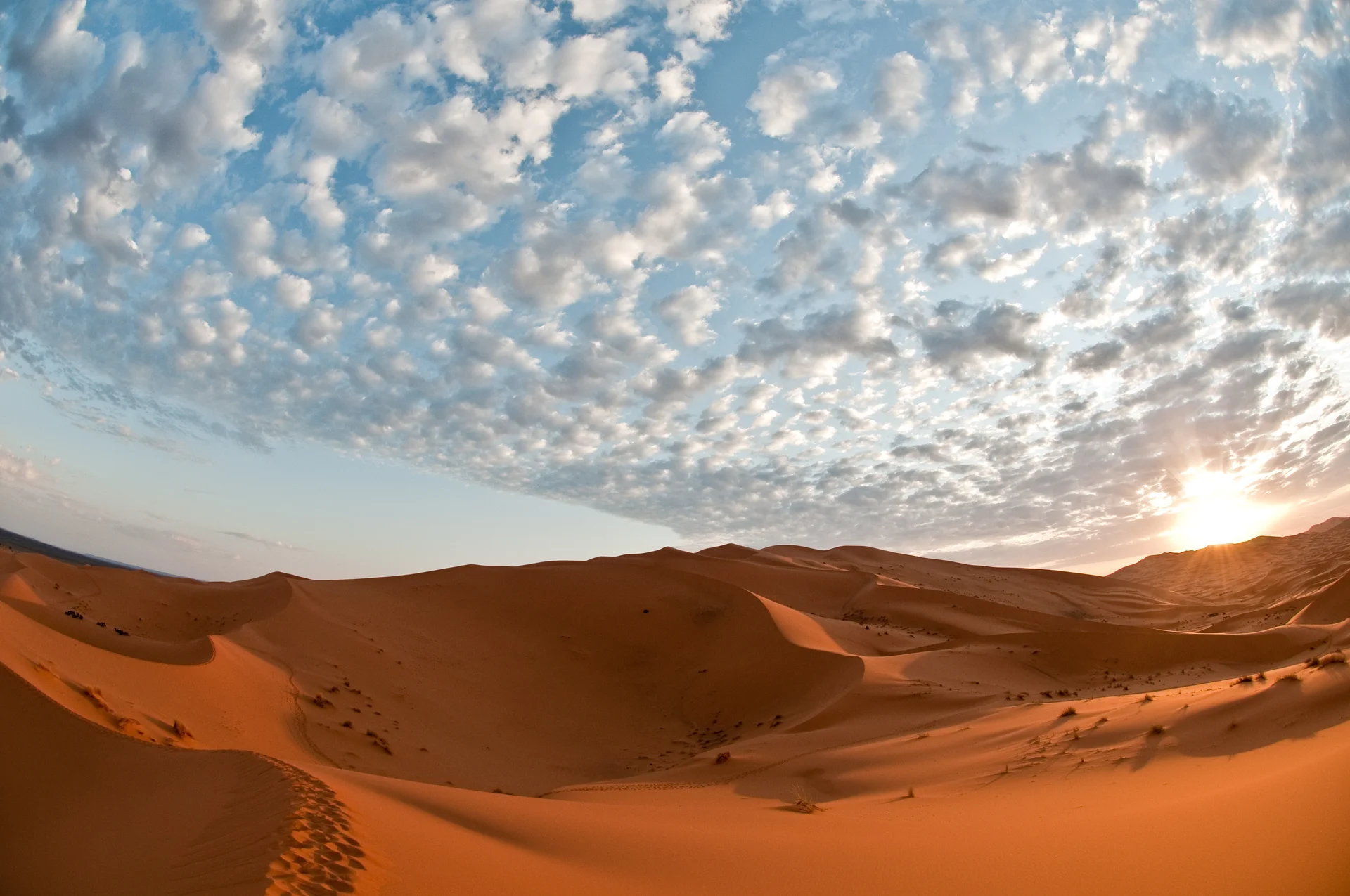 Désert marocain 