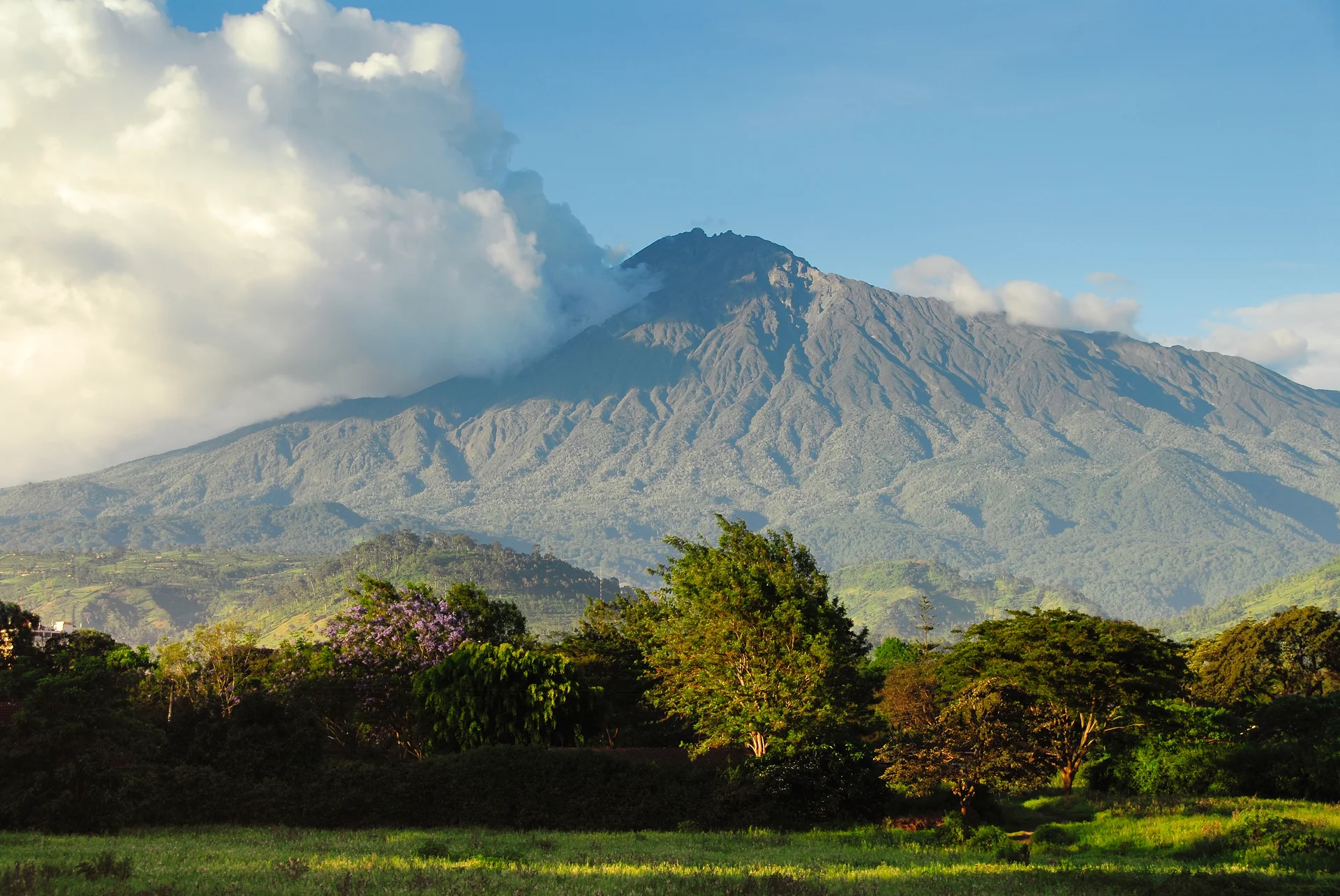 Parc national d'Arusha