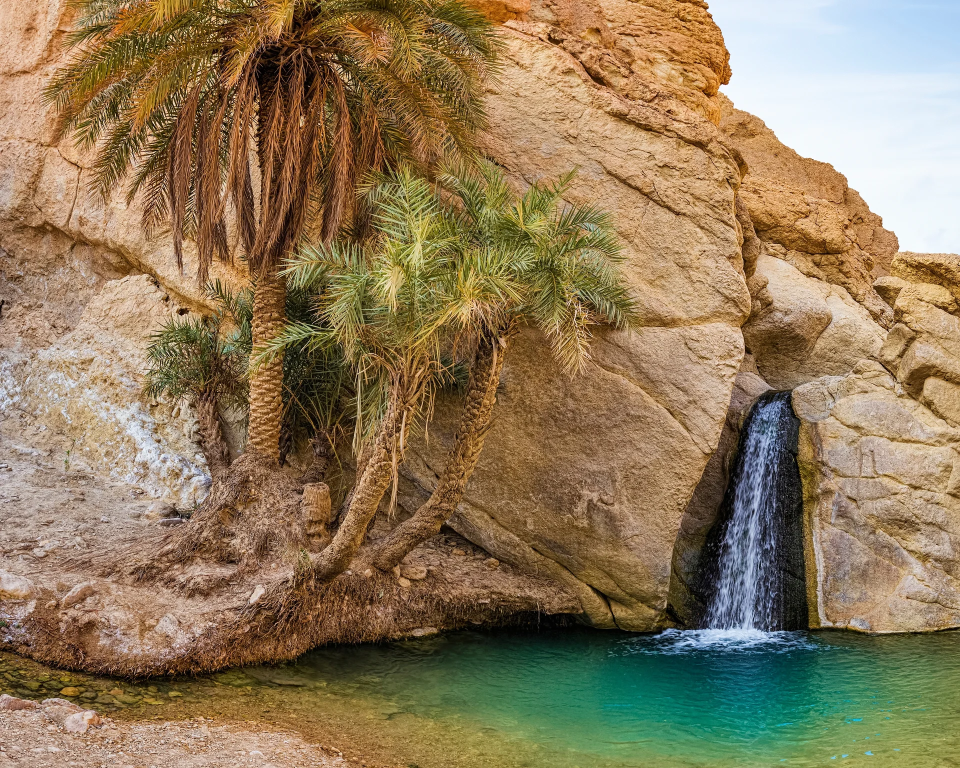 Casacade de l'Oasis de Chebika Casacade de l'Oasis de Chebika — Oasis de Chebika (Tunisie)